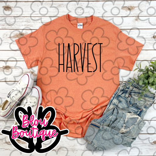Fall Tees on Sunset
