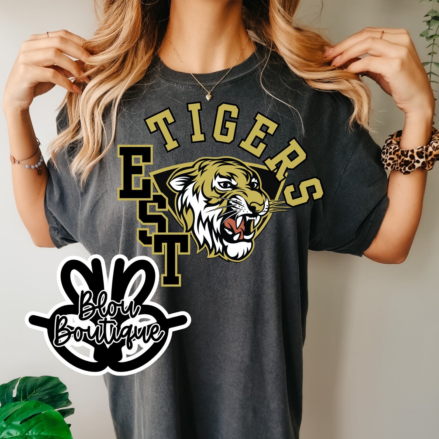 EST Excelsior Springs Tigers