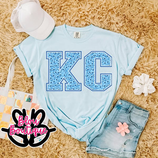 Healthcare KC Baseball