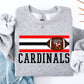 Football-Cardinals