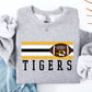 Football-Tigers WN