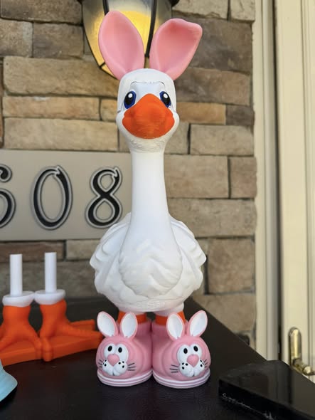 26-3D Printed Goose  Shoes & Hats