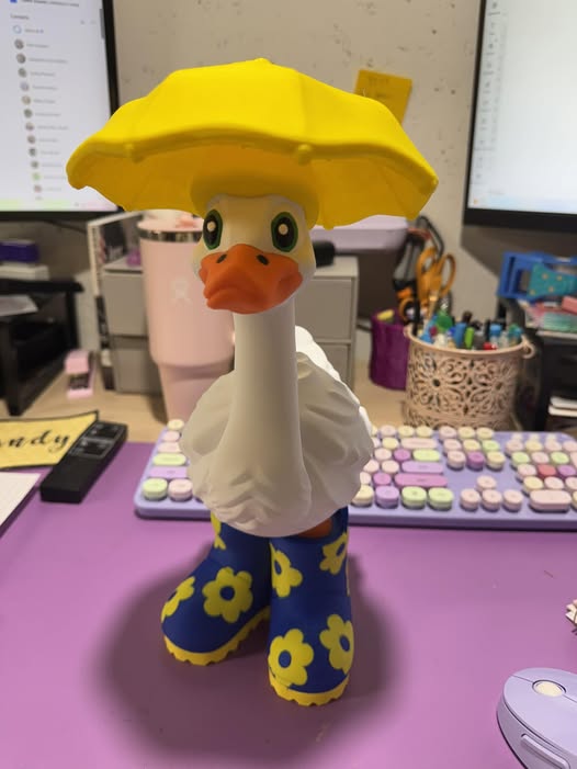 26-3D Printed Goose  Shoes & Hats