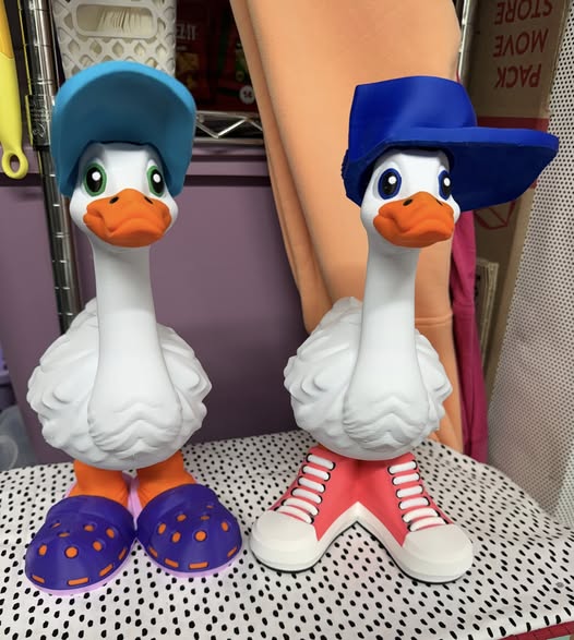 26-3D Printed Goose  Shoes & Hats