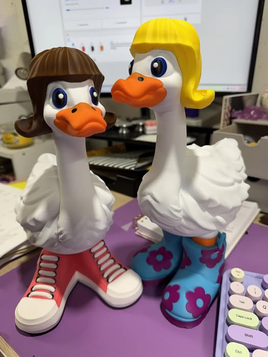 26-3D Printed Goose  Shoes & Hats