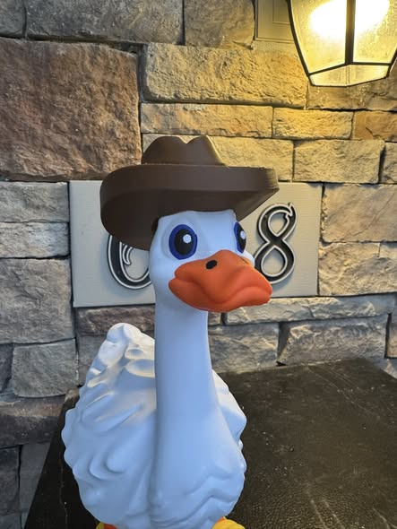 26-3D Printed Goose  Shoes & Hats