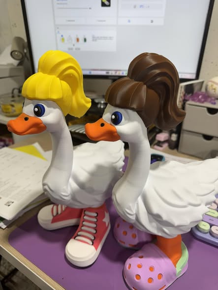 26-3D Printed Goose  Shoes & Hats