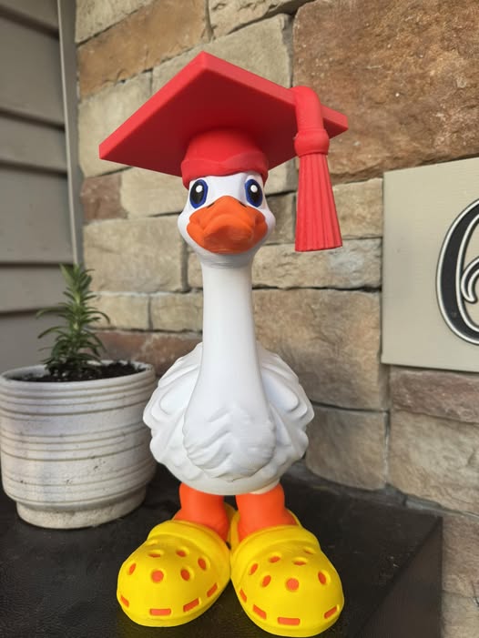 26-3D Printed Goose  Shoes & Hats