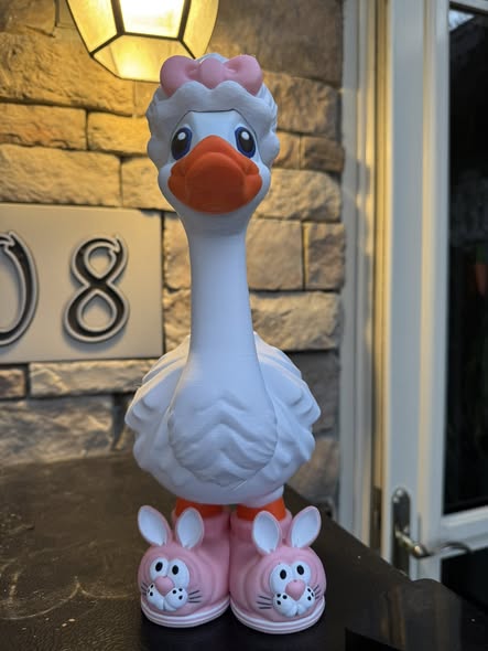 26-3D Printed Goose  Shoes & Hats