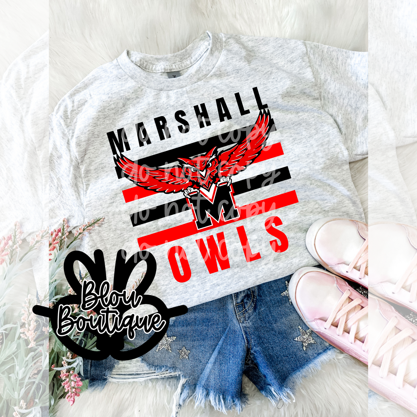 Marshall OWLS 2025