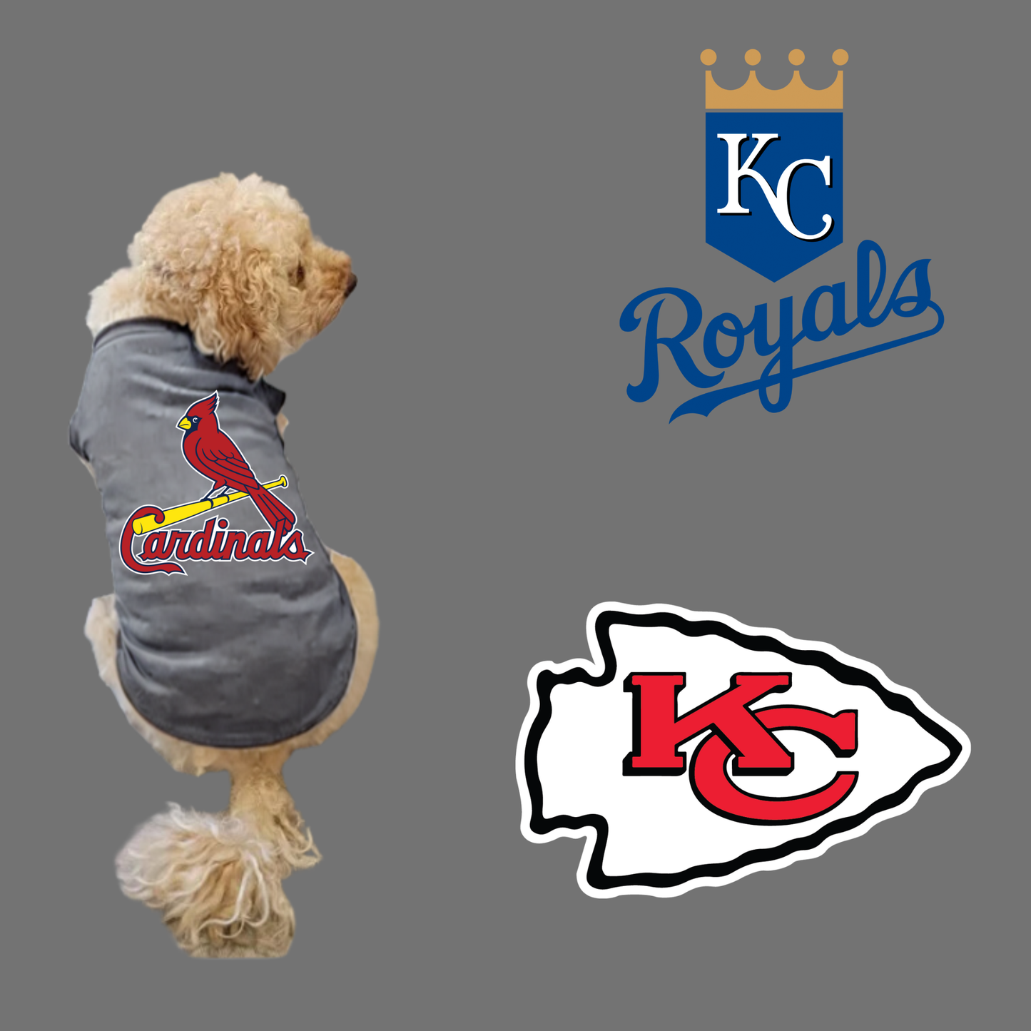 26-Pet Tees- Mascots