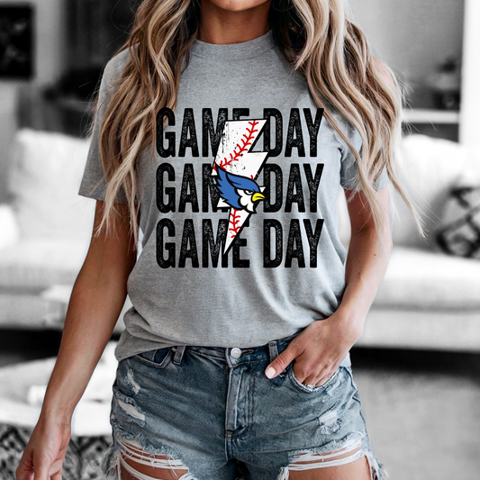 Blue Jays Baseball- Game day
