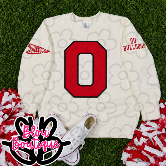 26-Varsity Front with Sleeves Odessa