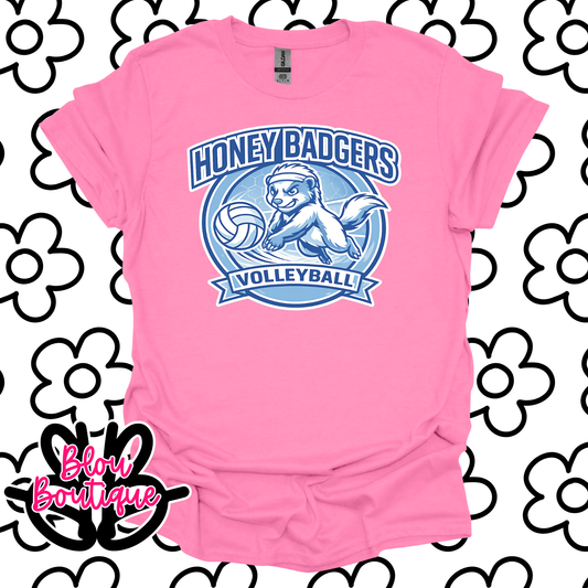 26-Honeybadgers Volleyball